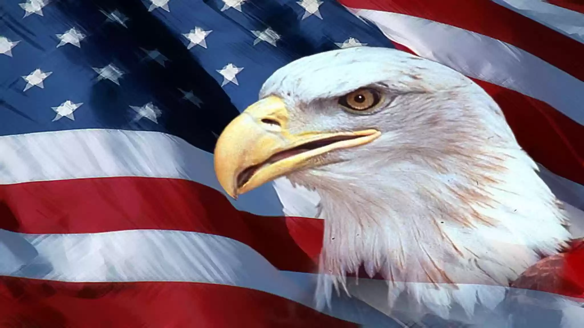 USA flag and eagle
